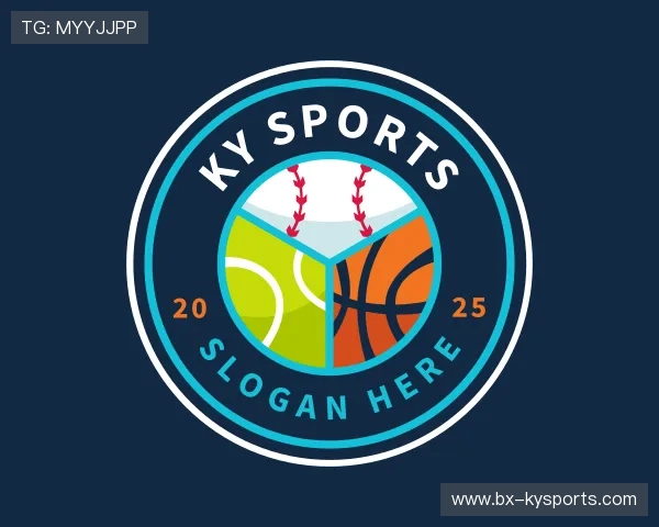 介绍开云电竞官网